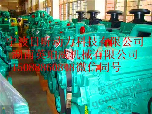 性价比高的益阳进口康明斯维修